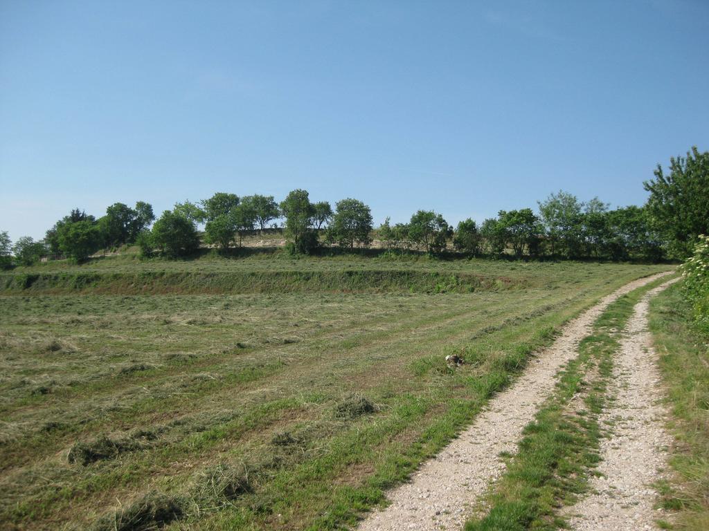 Agriturismo Campagnoletto Cavriana Szoba fotó