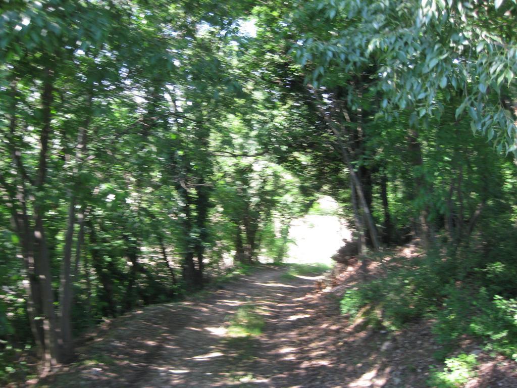 Agriturismo Campagnoletto Cavriana Szoba fotó