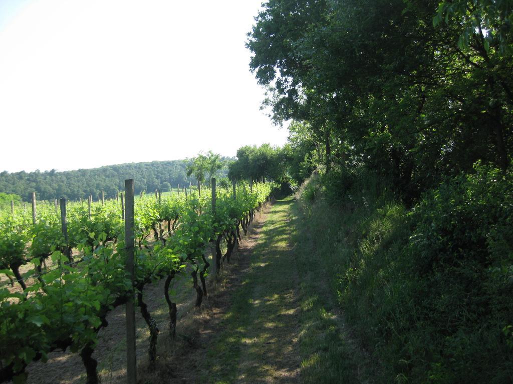 Agriturismo Campagnoletto Cavriana Szoba fotó