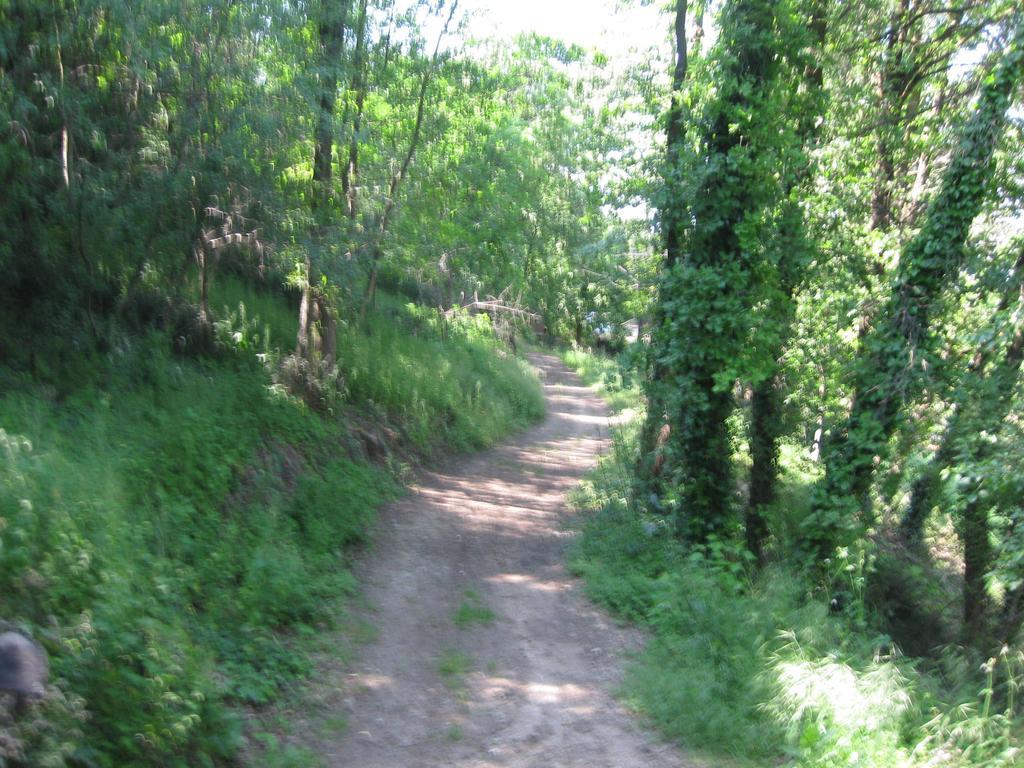 Agriturismo Campagnoletto Cavriana Szoba fotó