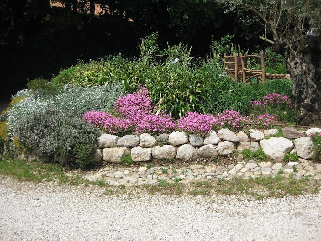 Agriturismo Campagnoletto Cavriana Kültér fotó
