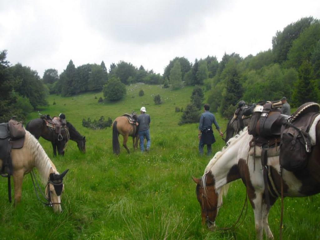 Agriturismo Campagnoletto Cavriana Kültér fotó