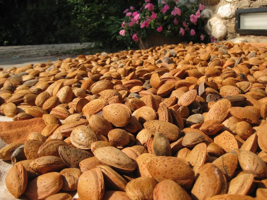Agriturismo Campagnoletto Cavriana Kültér fotó