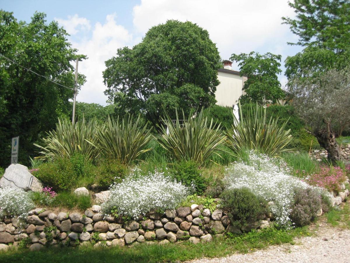 Agriturismo Campagnoletto Cavriana Kültér fotó