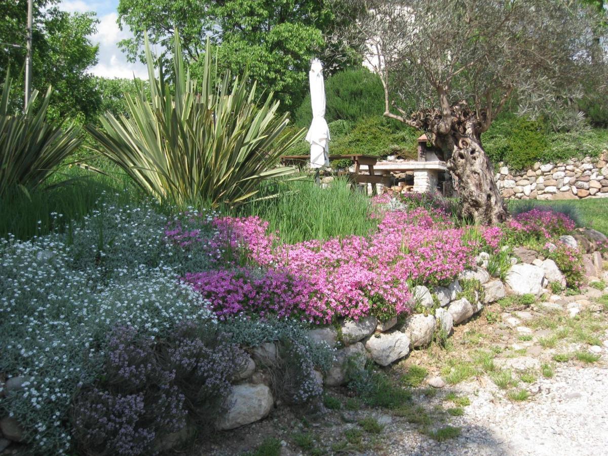 Agriturismo Campagnoletto Cavriana Kültér fotó